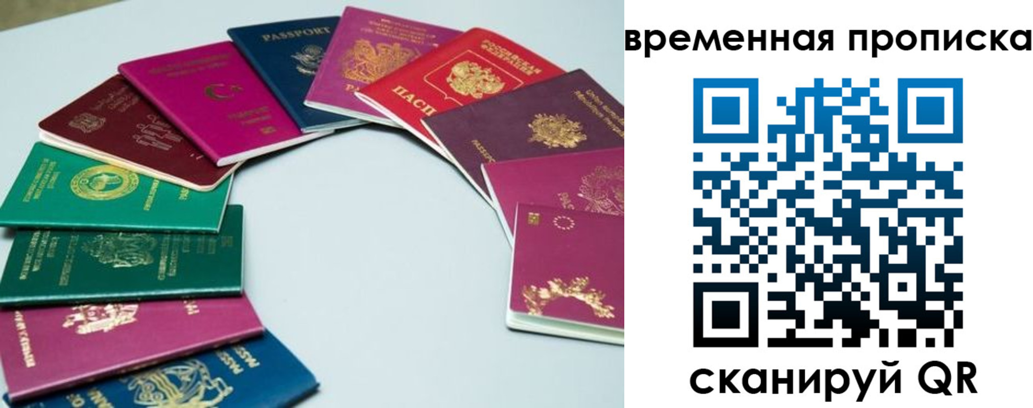 найти адрес прописки в Шилке